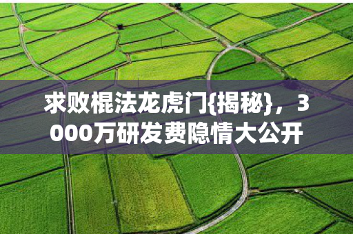 求败棍法龙虎门{揭秘},3000万研发费隐情大公开 求败棍法龙虎门{揭秘},3000万研发费隐情大公开