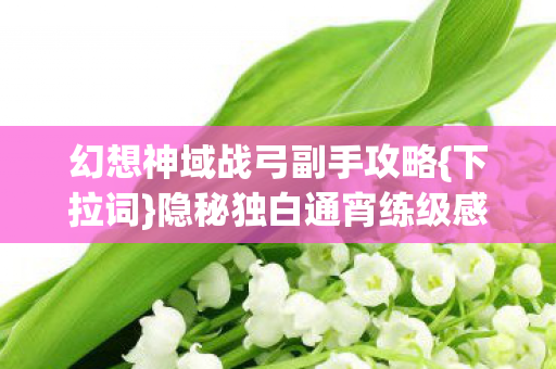 幻想神域战弓副手攻略图片