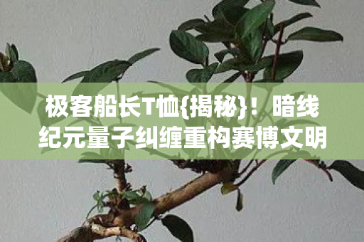 极客船长T恤{揭秘}!暗线纪元量子纠缠重构赛博文明 极客船长T恤{揭秘}!暗线纪元量子纠缠重构赛博文明