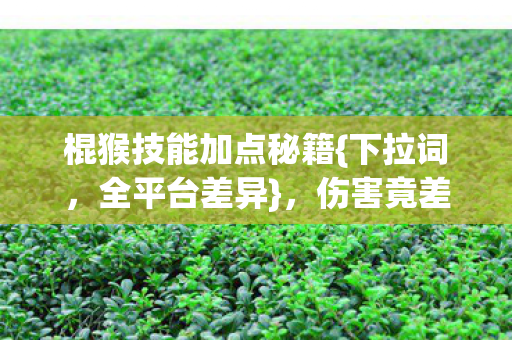 棍猴技能加点秘籍{下拉词，全平台差异}，伤害竟差300%？