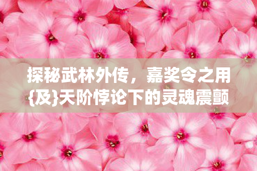 探秘武林外传，嘉奖令之用{及}天阶悖论下的灵魂震颤