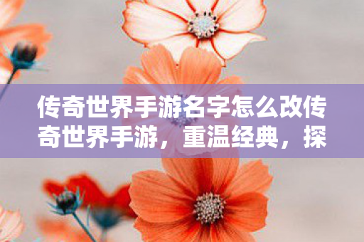 传奇世界手游名字怎么改传奇世界手游，重温经典，探索未知，传奇世界手游重温经典，探索未知，名字随心改