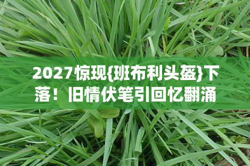 2027惊现{班布利头盔}下落！旧情伏笔引回忆翻涌