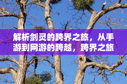 解析剑灵的跨界之旅，从手游到网游的跨越，跨界之旅，从手游到网游的剑灵解析