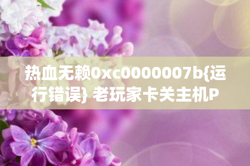 热血无赖0xc0000007b图片
