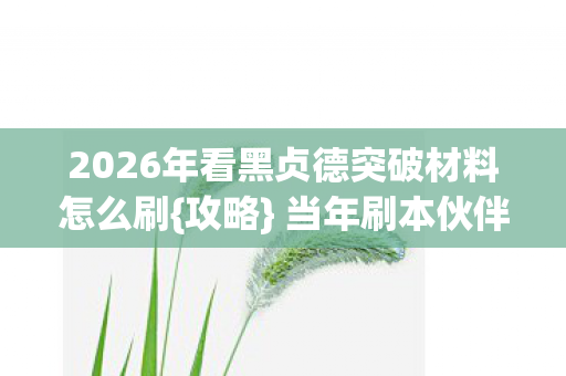 2026年看黑贞德突破材料怎么刷{攻略} 当年刷本伙伴今何在 2026年看黑贞德突破材料怎么刷{攻略} 当年刷本伙伴今何在