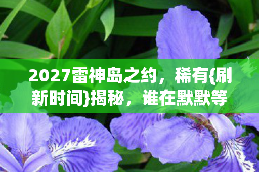 2027雷神岛之约图片