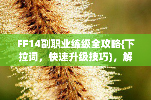 FF14副职业练级全攻略{下拉词,快速升级技巧},解锁隐藏玩法 FF14副职业练级全攻略{下拉词,快速升级技巧},解锁隐藏玩法