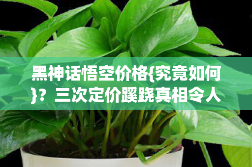 黑神话悟空价格{究竟如何}?三次定价蹊跷真相令人惊 黑神话悟空价格{究竟如何}?三次定价蹊跷真相令人惊