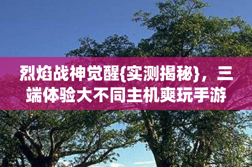 烈焰战神觉醒{实测揭秘}，三端体验大不同主机爽玩手游难