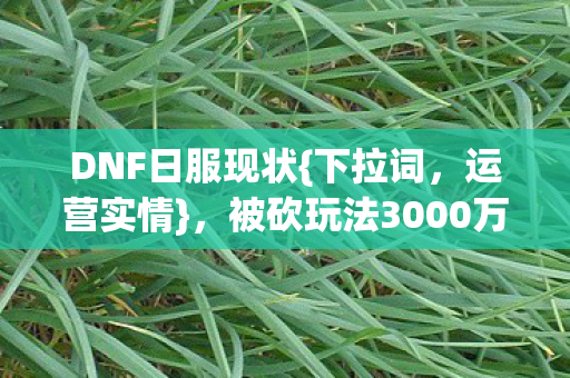 被砍玩法3000万隐情大揭秘图片