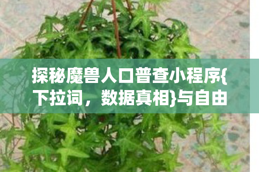 探秘魔兽人口普查小程序{下拉词，数据真相}与自由意志悖论