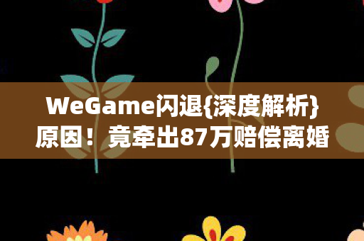 WeGame闪退{深度解析}原因！竟牵出87万赔偿离婚惊天案