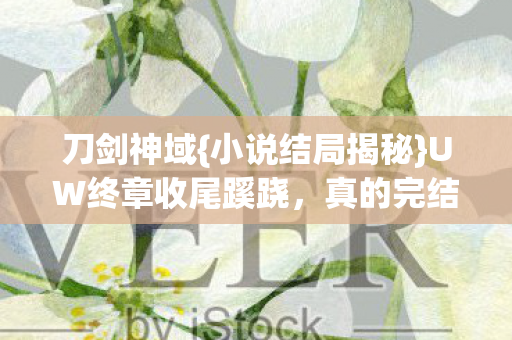 刀剑神域{小说结局揭秘}UW终章收尾蹊跷，真的完结了吗？