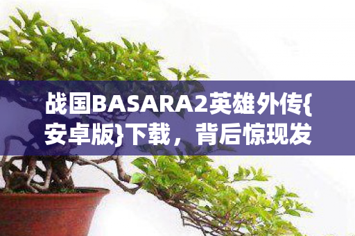 战国BASARA2英雄外传{安卓版}下载，背后惊现发凉真相