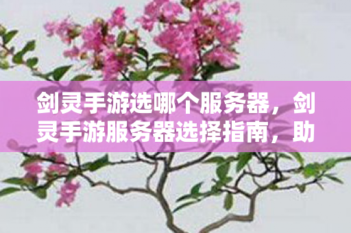 剑灵手游选哪个服务器,剑灵手游服务器选择指南,助你找到最佳游戏体验! 剑灵手游选哪个服务器,剑灵手游服务器选择指南,助你找到最佳游戏体验!
