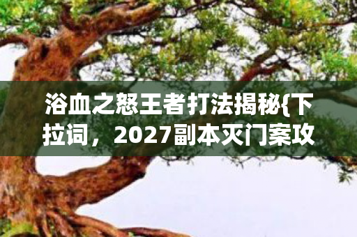 2027副本灭门案攻略图片