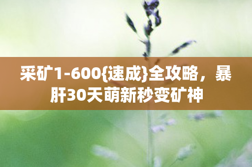 暴肝30天萌新秒变矿神图片