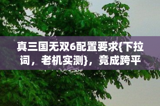 真三国无双6配置要求图片