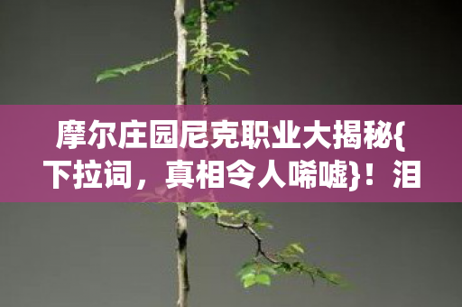摩尔庄园尼克职业大揭秘{下拉词,真相令人唏嘘}!泪目见证落幕 摩尔庄园尼克职业大揭秘{下拉词,真相令人唏嘘}!泪目见证落幕