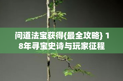 问道法宝获得{最全攻略} 18年寻宝史诗与玩家征程 问道法宝获得{最全攻略} 18年寻宝史诗与玩家征程