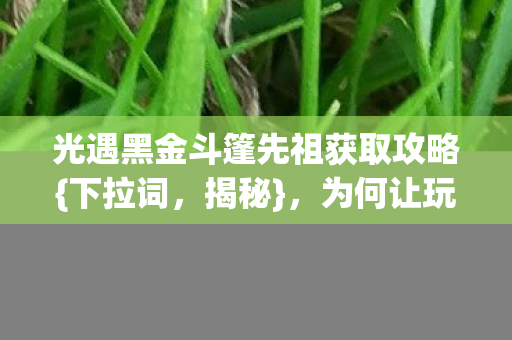 光遇黑金斗篷先祖获取攻略{下拉词，揭秘}，为何让玩家泪目？