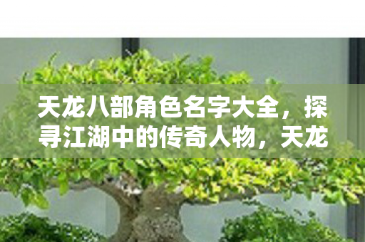 天龙八部角色名字大全，探寻江湖中的传奇人物，天龙八部传奇人物名字全揭秘