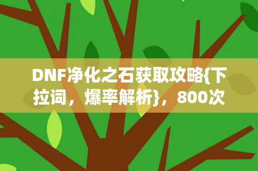 DNF净化之石获取攻略{下拉词,爆率解析},800次刷图揭秘 DNF净化之石获取攻略{下拉词,爆率解析},800次刷图揭秘