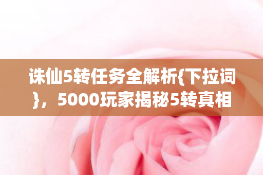 5000玩家揭秘5转真相图片