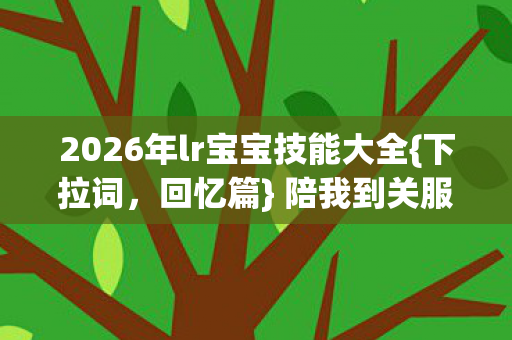 2026年lr宝宝技能大全图片