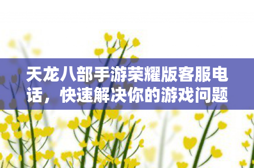 天龙八部手游荣耀版客服电话，快速解决你的游戏问题，天龙八部手游荣耀版客服电话，快速解决你的游戏问题