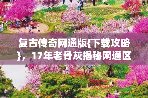 17年老骨灰揭秘网通区青春血泪图片