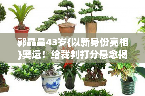 郭晶晶43岁{以新身份亮相}奥运!给裁判打分悬念揭晓太燃 郭晶晶43岁{以新身份亮相}奥运!给裁判打分悬念揭晓太燃