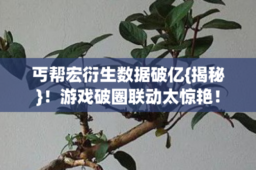 丐帮宏衍生数据破亿{揭秘}！游戏破圈联动太惊艳！