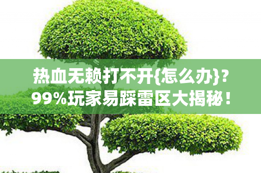 热血无赖打不开{怎么办}?99%玩家易踩雷区大揭秘! 热血无赖打不开{怎么办}?99%玩家易踩雷区大揭秘!