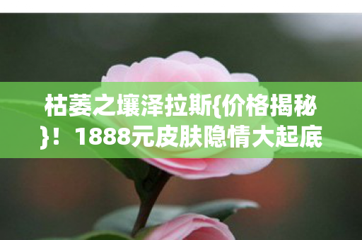 1888元皮肤隐情大起底图片