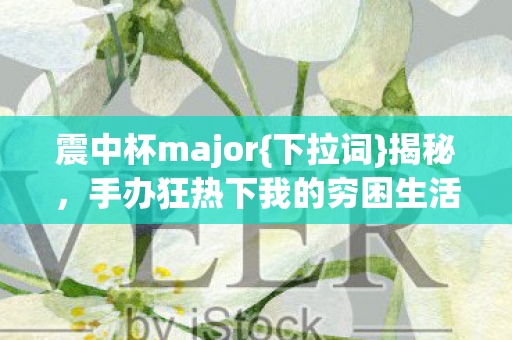 手办狂热下我的穷困生活图片