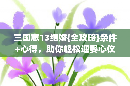 助你轻松迎娶心仪佳人图片