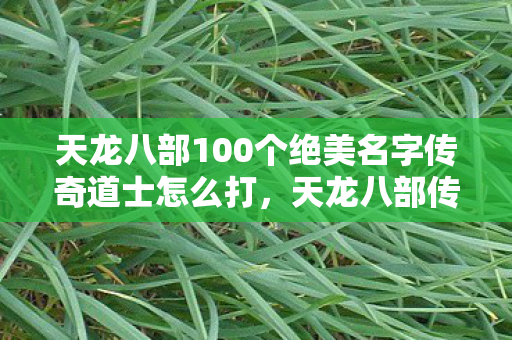 天龙八部100个绝美名字传奇道士怎么打，天龙八部传奇道士100个绝美名字及打法攻略