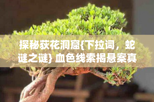 血色线索揭悬案真相图片