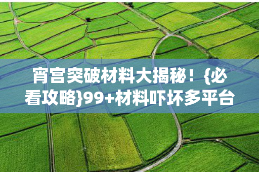 宵宫突破材料大揭秘！{必看攻略}99+材料吓坏多平台玩家