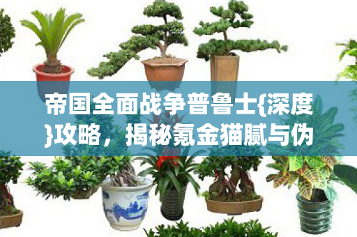 揭秘氪金猫腻与伪创新图片