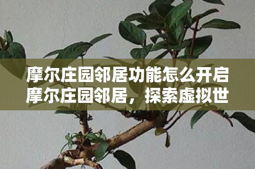 摩尔庄园邻居功能怎么开启摩尔庄园邻居，探索虚拟世界的温馨社区，摩尔庄园，开启邻居功能，探索温馨社区