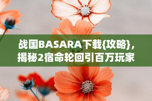 揭秘2宿命轮回引百万玩家泪目图片
