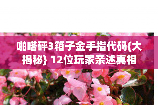 啪嗒砰3箱子金手指代码{大揭秘} 12位玩家亲述真相