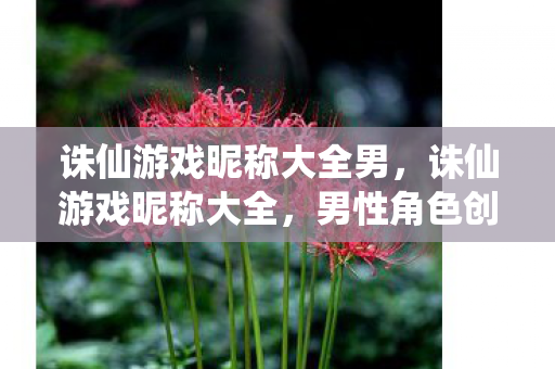 诛仙游戏昵称大全男，诛仙游戏昵称大全，男性角色创意昵称推荐
