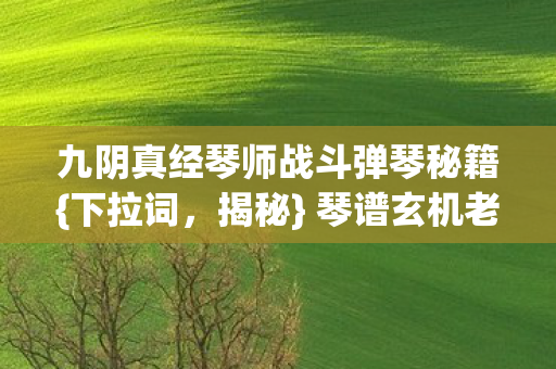 九阴真经琴师战斗弹琴秘籍{下拉词，揭秘} 琴谱玄机老玩家惊叹