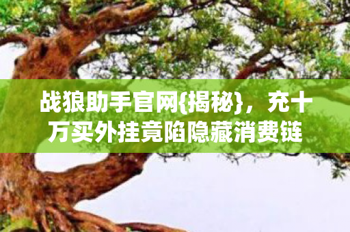 战狼助手官网{揭秘},充十万买外挂竟陷隐藏消费链 战狼助手官网{揭秘},充十万买外挂竟陷隐藏消费链