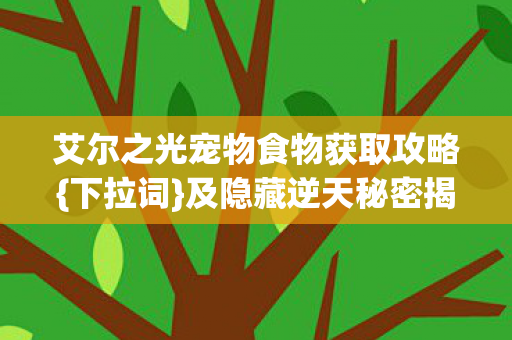 艾尔之光宠物食物获取攻略{下拉词}及隐藏逆天秘密揭秘