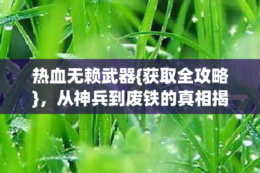 热血无赖武器{获取全攻略},从神兵到废铁的真相揭秘 热血无赖武器{获取全攻略},从神兵到废铁的真相揭秘